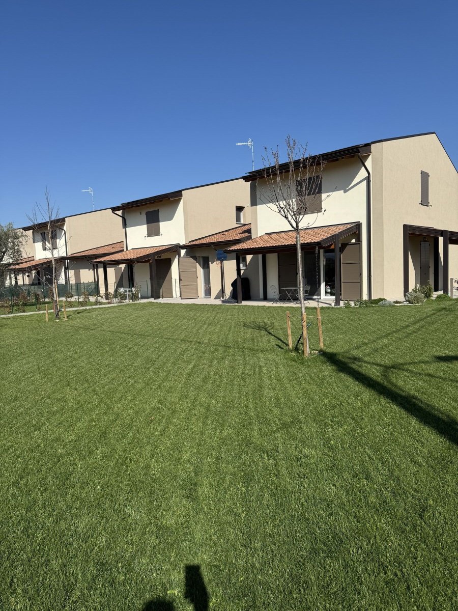 Semina prato Arsnaturae