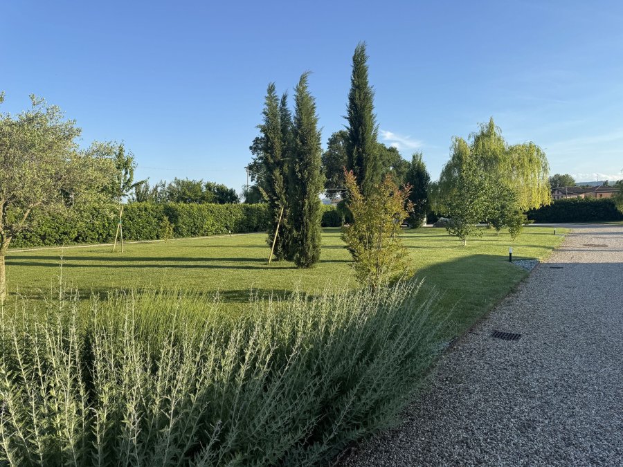 Semina prato Arsnaturae