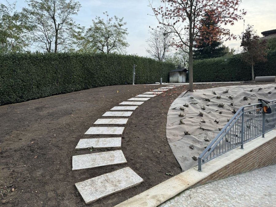 Semina prato Arsnaturae